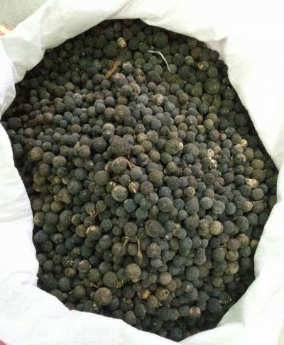 枳实，欢迎大家来购买