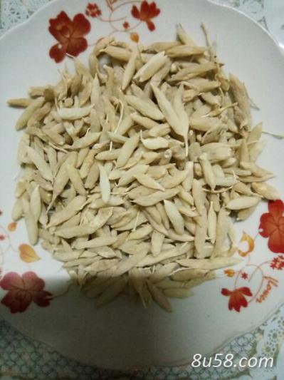 自炕麦冬