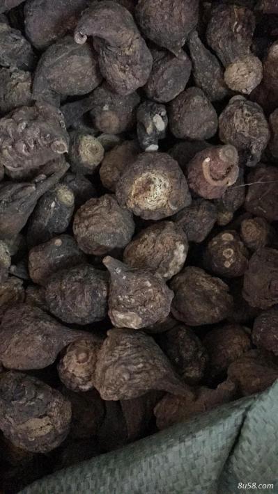 丽江黑玛咖大果  20个左右一斤