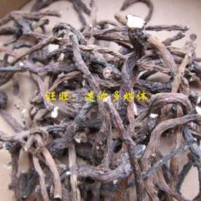 干婆婆丁蒲公英根