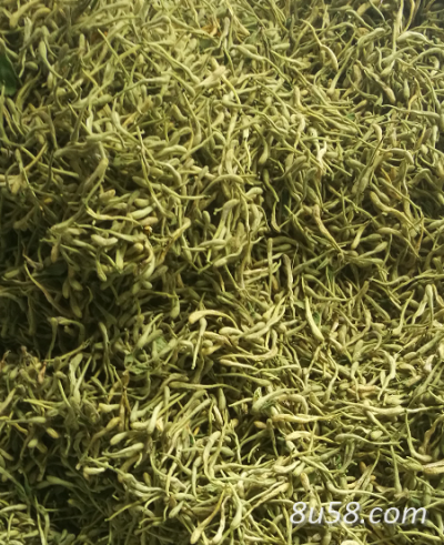 出售金银花