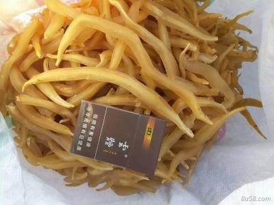 云南大天冬