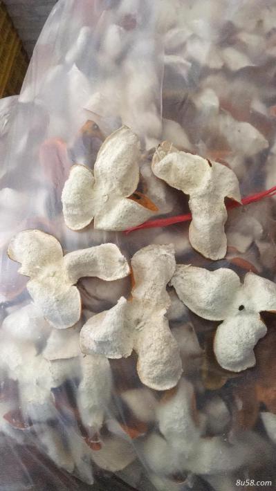 陈皮
