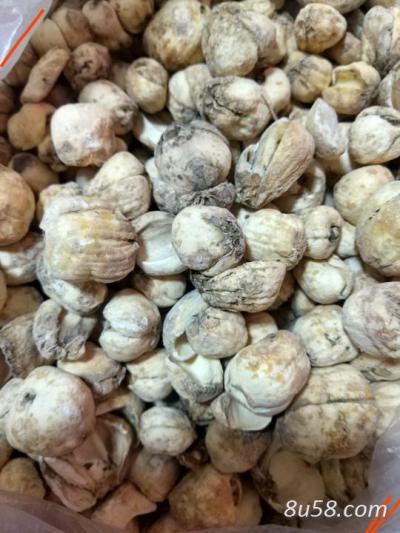伊贝母 无硫统货