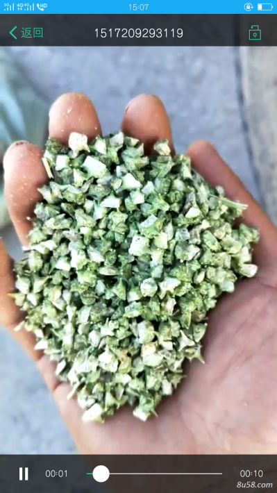 撞刺白蒺藜