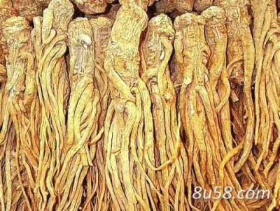 当归 储存一年干货精选优质产品