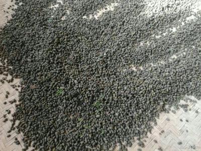 销售五灵脂 仓库存货2吨