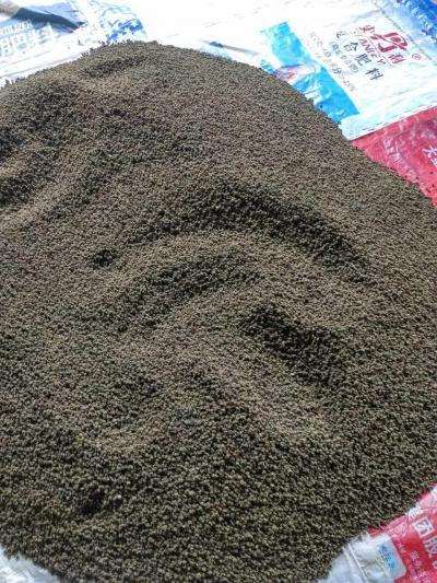 柳城中花吴茱萸