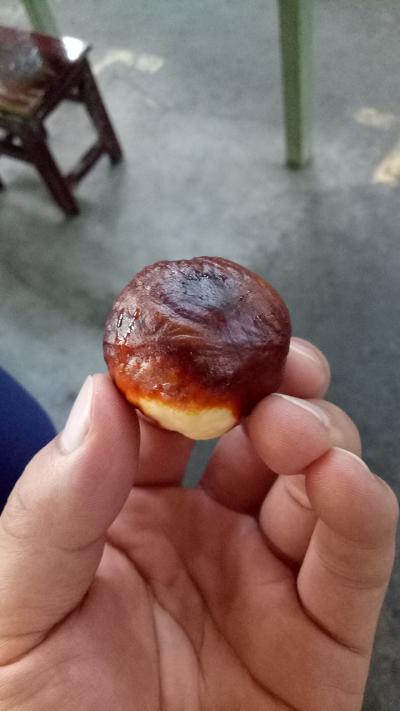 出售娑罗子