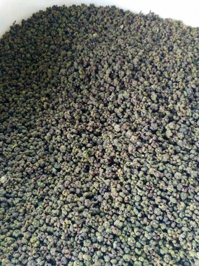 吴茱萸
