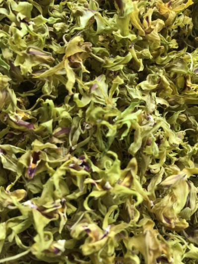 铁皮石斛干花