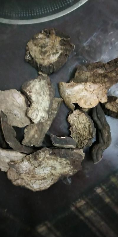 机切何首乌片