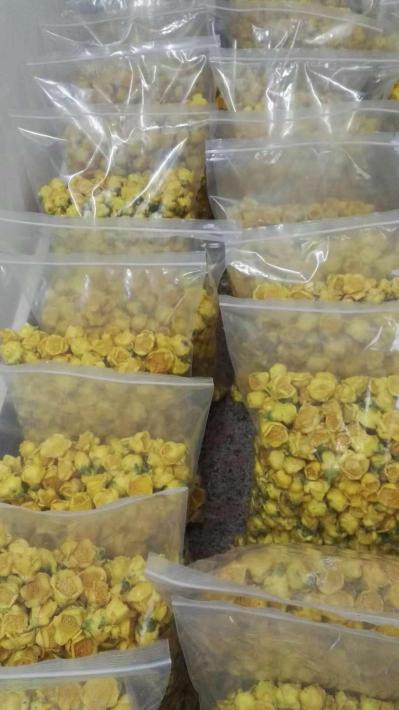 金花茶花