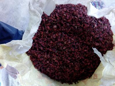 卖山茱萸肉干货
