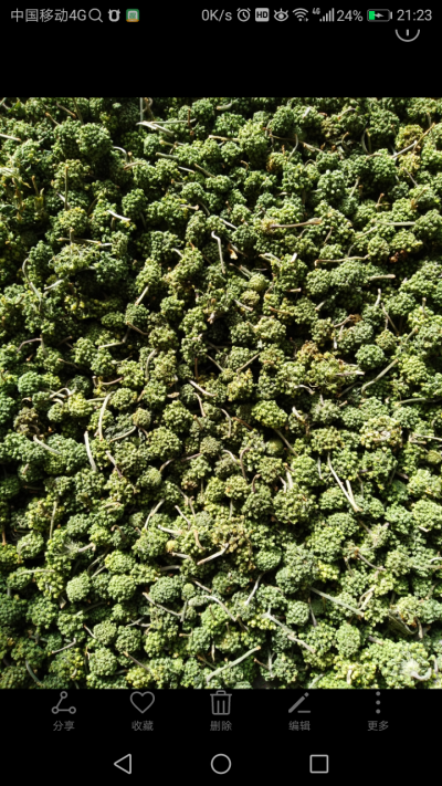 正宗文山三七花（三年花）75元一斤