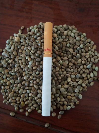 大量出售各种规格山西产线麻子（火麻子）160吨，干度好、饱满度好、货源充足