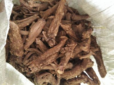 湖北木香统货