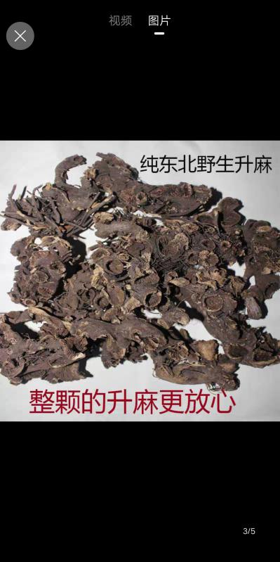 本人经营苍术升麻细辛5年有余现有野生升麻很多，地处辽宁省近年也想培植升麻有须求的和有经验的欢迎加入