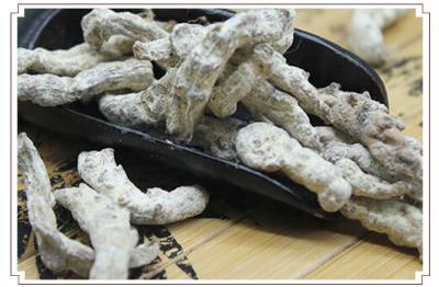 全年供应僵蚕，拒绝中间商
