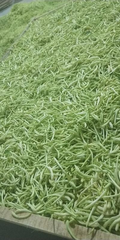 大量，新烘干，阴干金银花