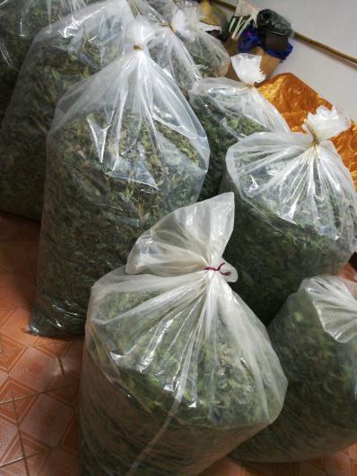 本人长期大量出售薄荷叶，薄荷段，薄荷根