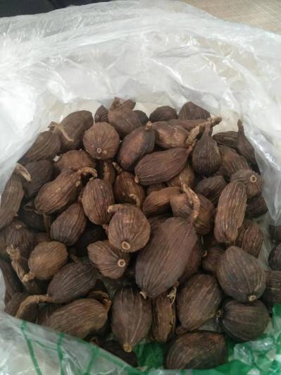 大量带柄草果，成色好