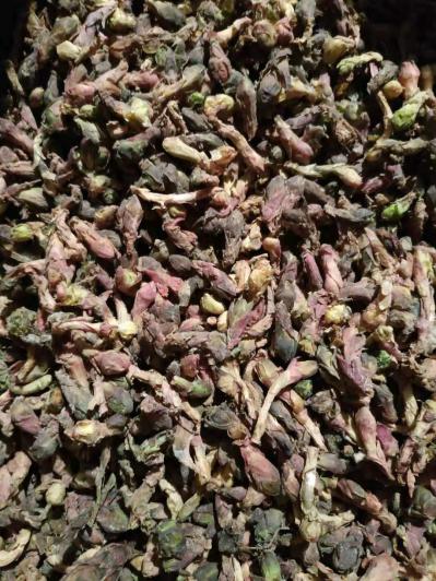 大量出售款冬花干货