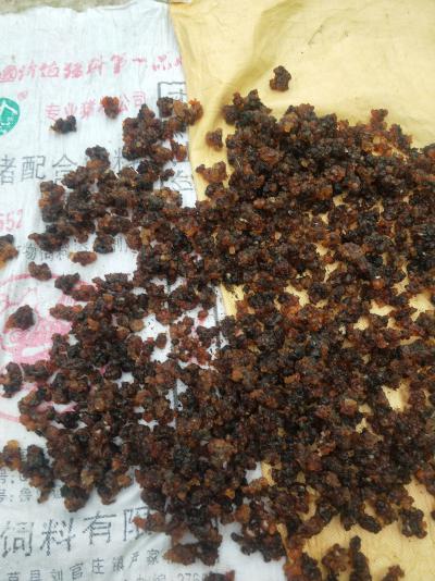 六安家里桃园采摘的桃胶