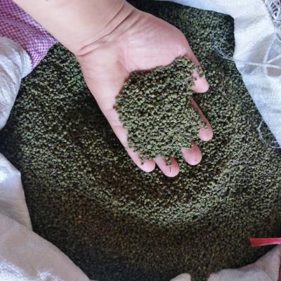 吴茱萸