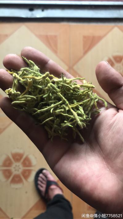 金银花北花一号一级花求收购