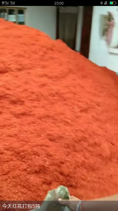 本人有半吨红花出售需要的联系我