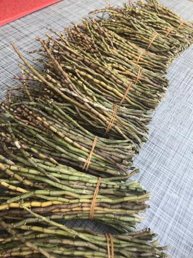 铁皮石斛鲜条