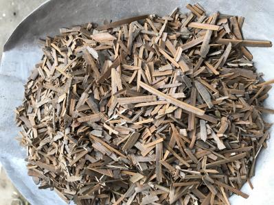 鬼箭羽出售，精品，选货，统货，药厂投料