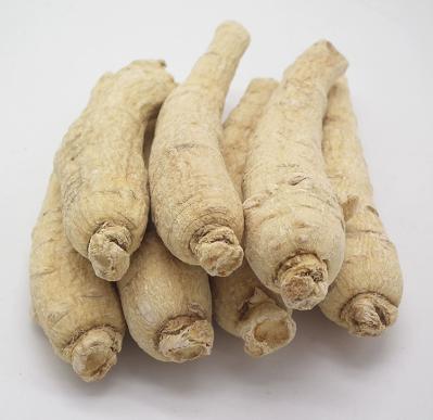 西洋参干货