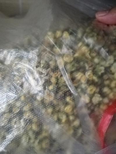 绿梅花