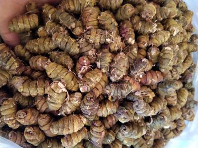 铁皮石斛枫斗