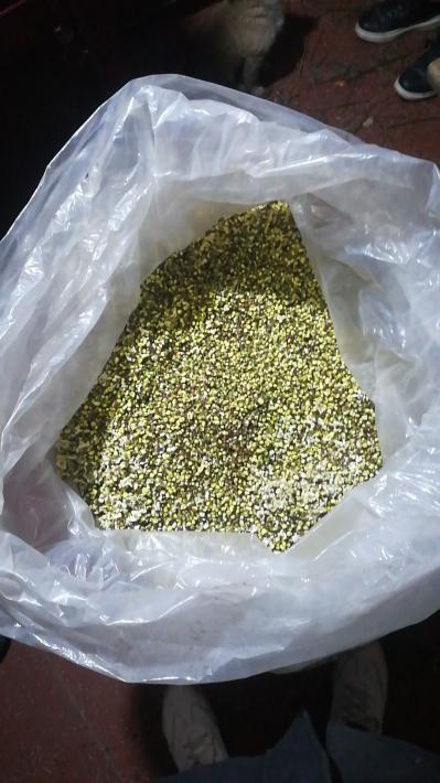 药用绿梅花