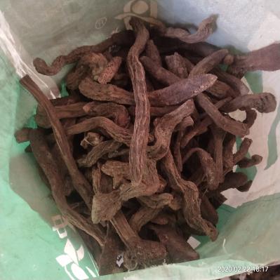 锁阳，锁阳统货，甘肃