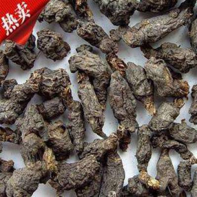天葵子