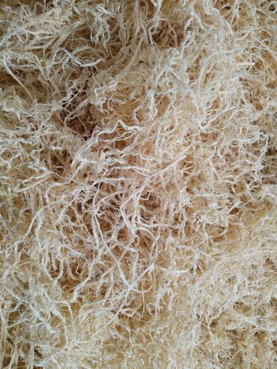 竹茹青丝白丝含量高药厂指定专供2020新品可寄样