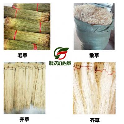 江西抚州科沃灯芯草 万亩灯心草种植基地  灯心草道地产地 灯心草饮片 多种规格 欢迎客商朋友咨询