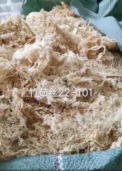 全国全年供应优质竹茹