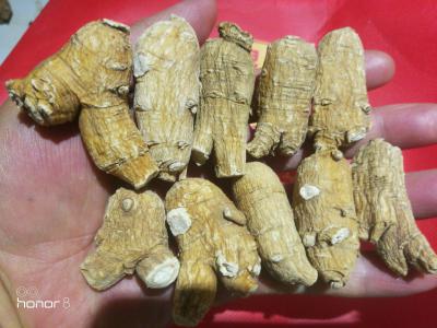 纯正进口西洋参