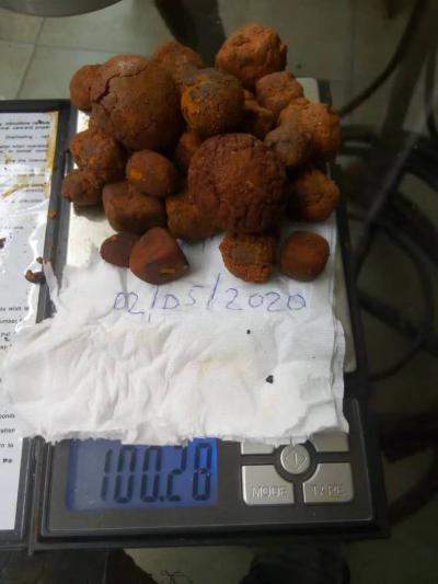 天然牛黄