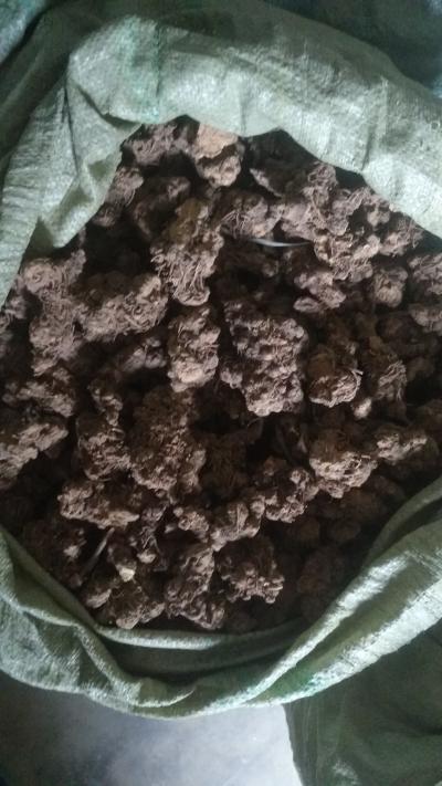1000斤苍术出售