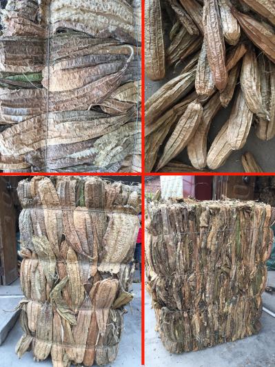 长年供应批发丝瓜络 农户种植天然丝瓜瓤未经加工干品 丝瓜壳  丝瓜筋 中药材