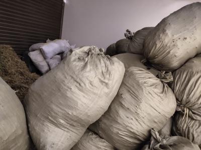 云南灯盏花药材