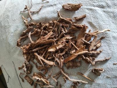 地骨皮（家种）