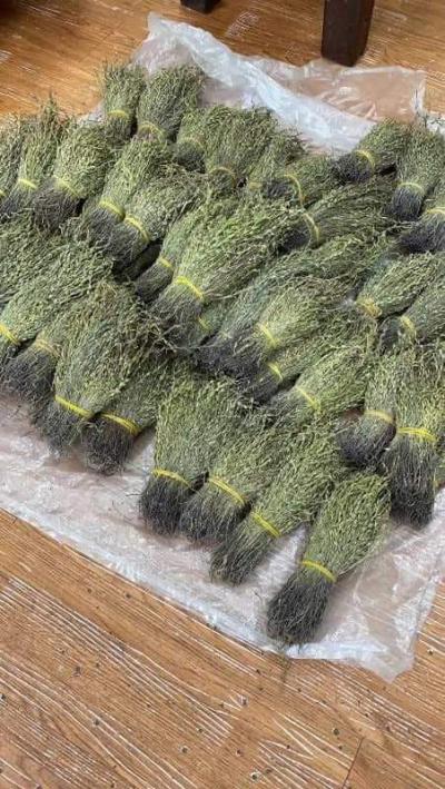 大量独脚金价格美丽