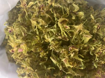 铁皮石斛花